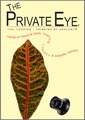 Research Basis of The Private Eye Process