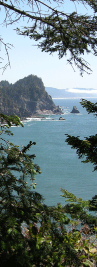 PNW Coast