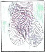 The Private Eye Fingerprint Art