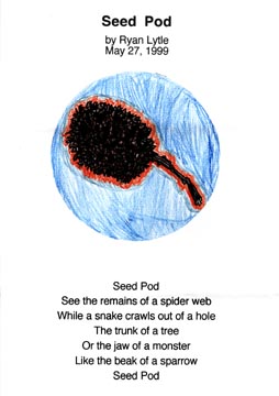 Seed Pod