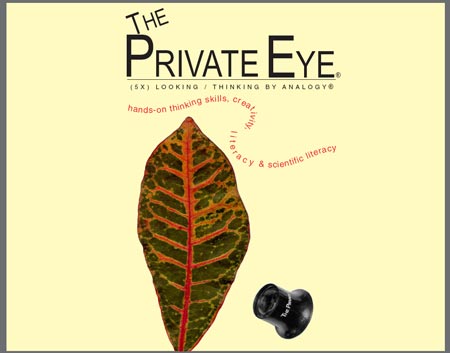 The Private Eye Brochure